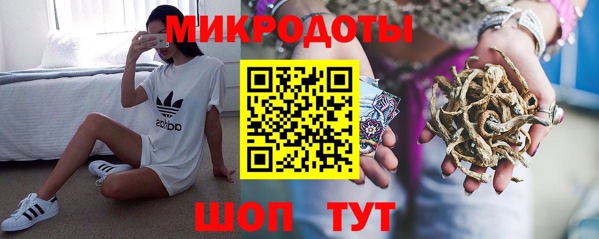 Галлюциногенные грибы Psilocybe  Вход с VPN  Зима 